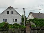 Třibřichy